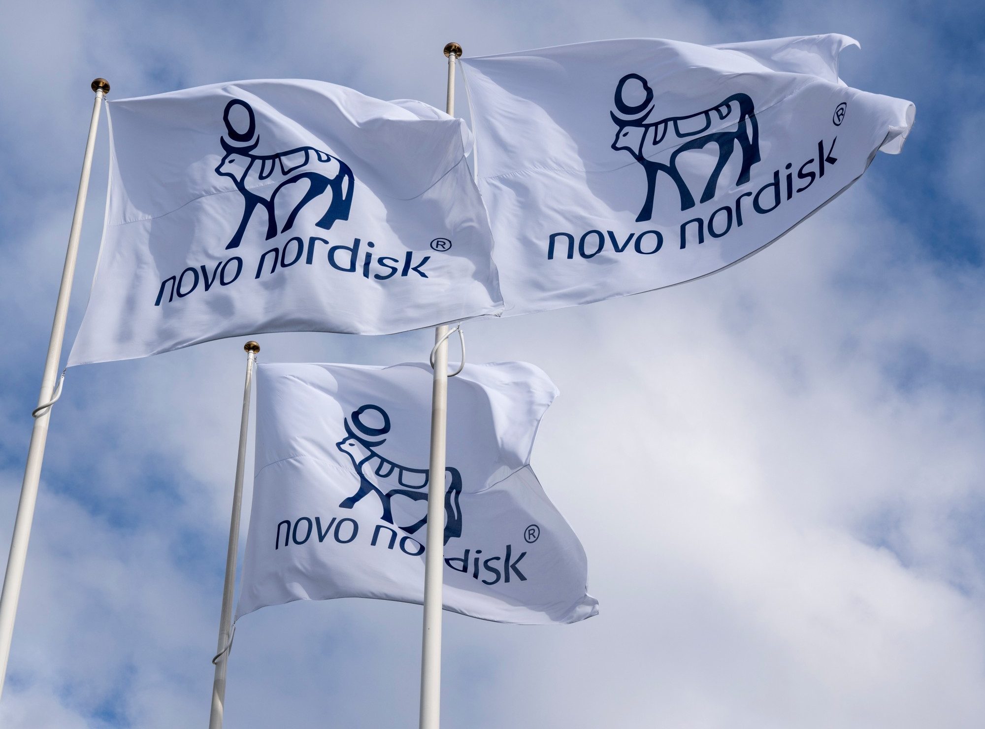 Stadtrat gibt grünes Licht für neue Novo Nordisk Fabrik in Odense