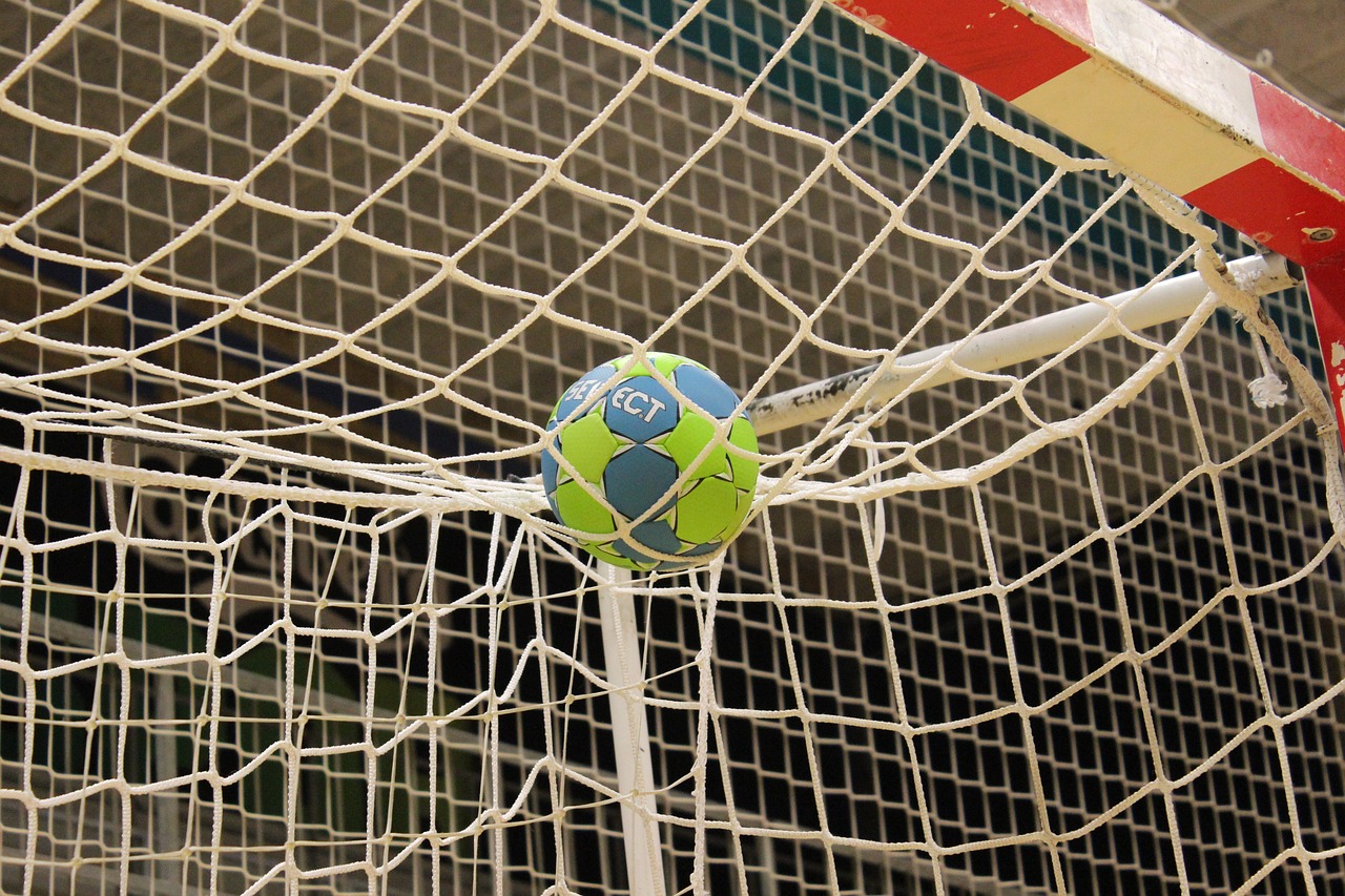 Dänemark erreicht das Halbfinale der Handball-Weltmeisterschaft