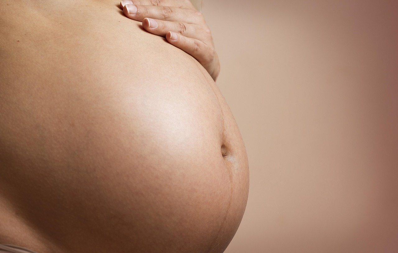 pregnant, gestation, pregnant pictures, pregnancy, pregnant woman, stomach, big belly, pregnant essay, woman, mommy, pregnant, pregnant, pregnant, pregnancy, pregnancy, pregnancy, pregnancy, pregnancy, pregnant woman